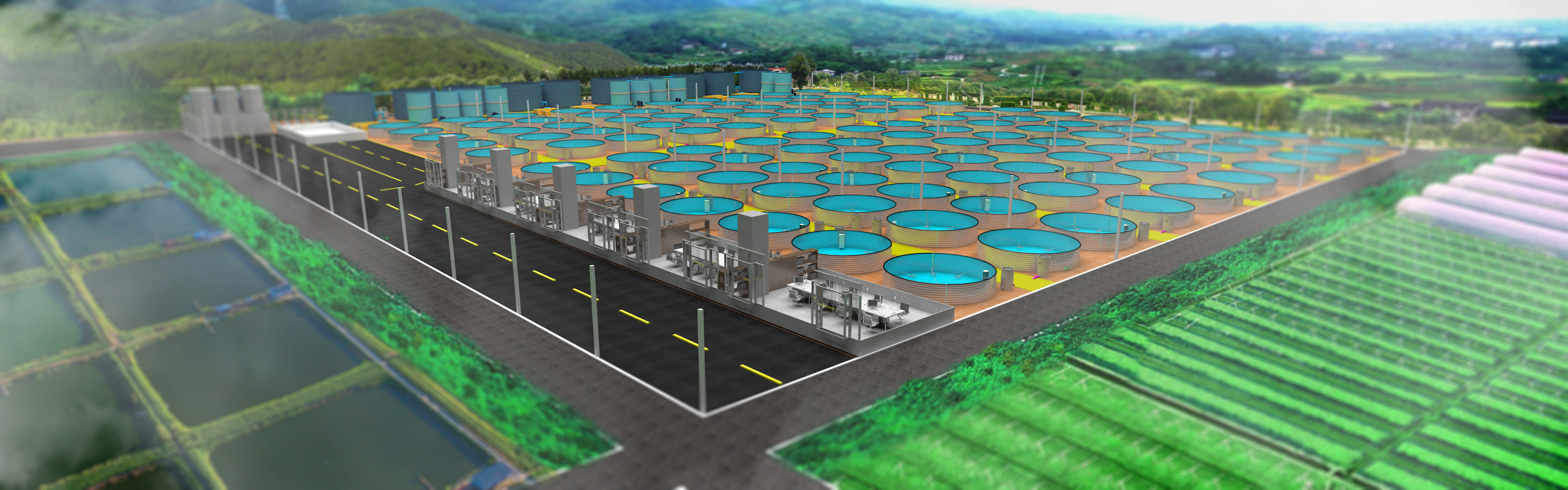 循环水养殖设备设设计案例